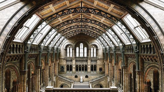 Natural Museum Tour: Volcanoes, Earthquakes, Blue Whale