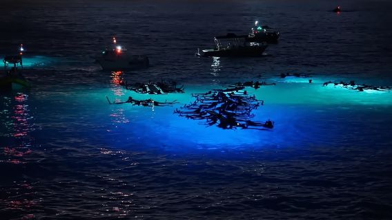 Kona: Manta Ray Night Snorkel Adventure