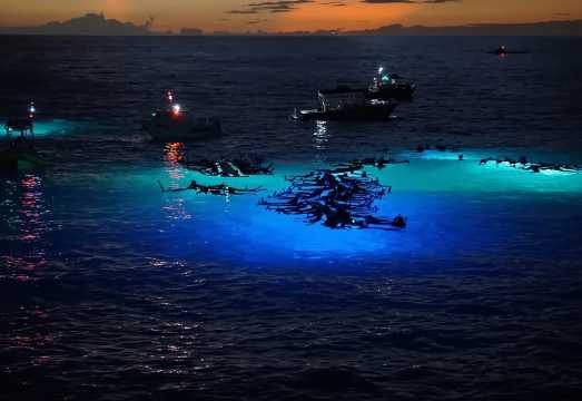 Kona: Manta Ray Night Snorkel Adventure