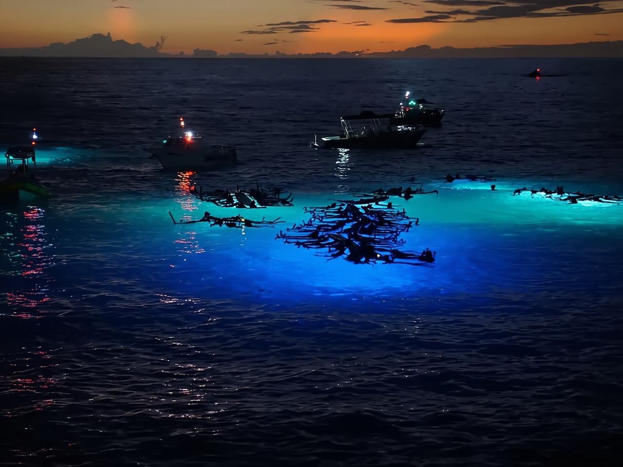 코나: 만타 레이 나이트 스노클링 어드벤처