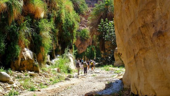 Randonnée d'une journée complète à Wadi Ghuweir avec guide local et déjeuner.