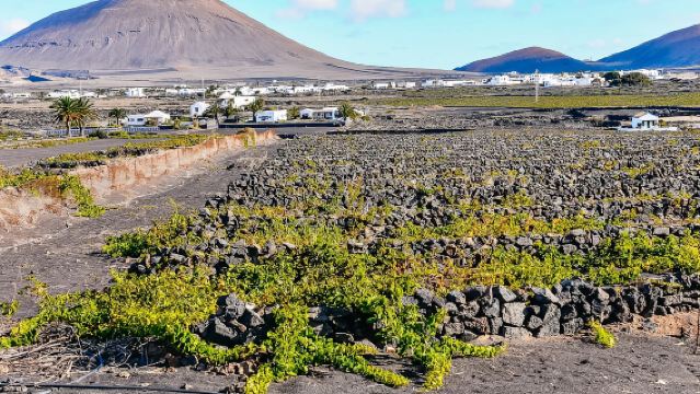 Lanzarote: Volcanos of Timanfaya and Caves Tour with Lunch