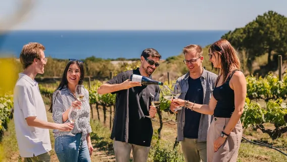 Barcelona: Crucero en velero y tour por viñedos con cata de vinos