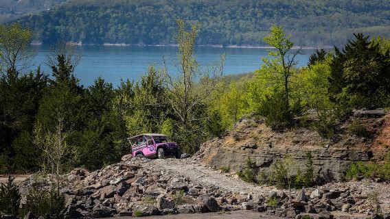 布蘭森：市中心、湖泊、貝爾德山和霍利斯特 4x4 之旅