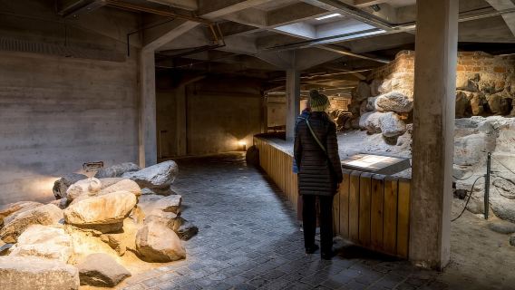 Copenhagen: Tiket Masuk Istana Christiansborg