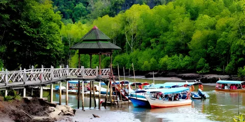 浮羅交怡:紅樹林之旅連蘭卡威地質公園及蝙蝠洞