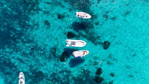 Favignana und Levanzo: Schwimmen, Schnorcheln und Mittagessen