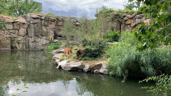 10小時包車·親子首選】柏林家庭歡樂一日遊