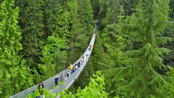 perjalanan satu hari ke Taman Stanley + Taman Jembatan Gantung Capilano