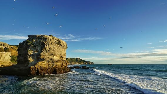 紐西蘭奧克蘭 伊甸山－皮哈海灘 邂逅西海岸 可訂製南北島包車