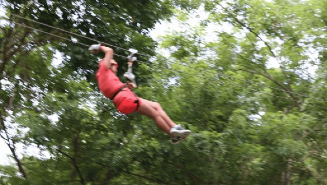 Roatán : Excursion Zip and Dip de 4 heures