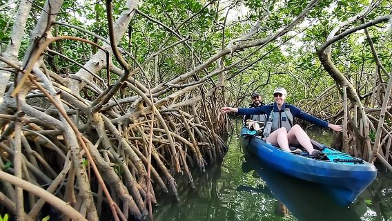 Thousand Islands Mangrove Tunnel Kayak Tour with Cocoa Kayaking!