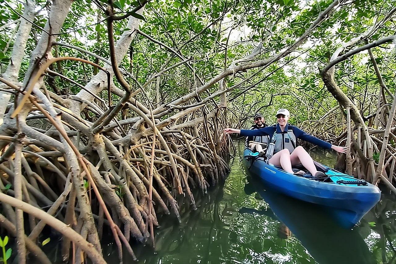 Thousand Islands Mangrove Tunnel Kayak Tour with Cocoa Kayaking!