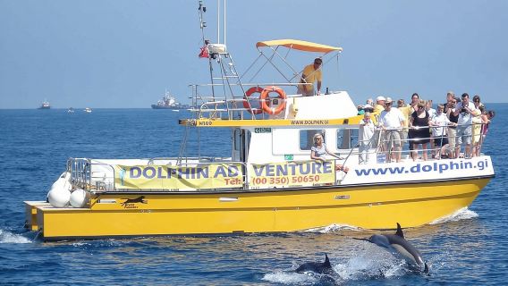 Dolphin Watching Excursion in Gibraltar