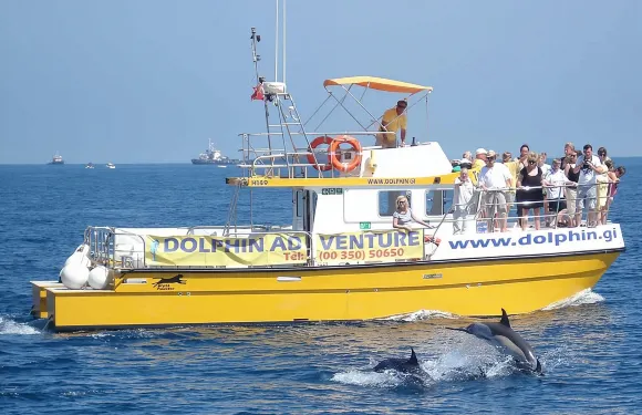 直布羅陀海豚觀賞之旅