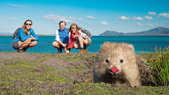 塔斯馬尼亞荷巴特瑪麗亞島一日遊【中文|萌物袋熊|純淨之美】