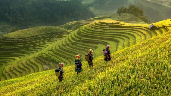 Service de visa électronique du Vietnam pour les touristes internationaux