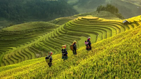 베트남 국제 관광객 전자 비자 서비스
