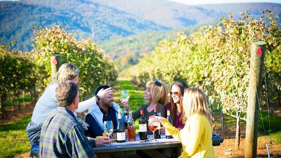 Maipo Valley Wine Tour with 4 vineyards from Santiago.