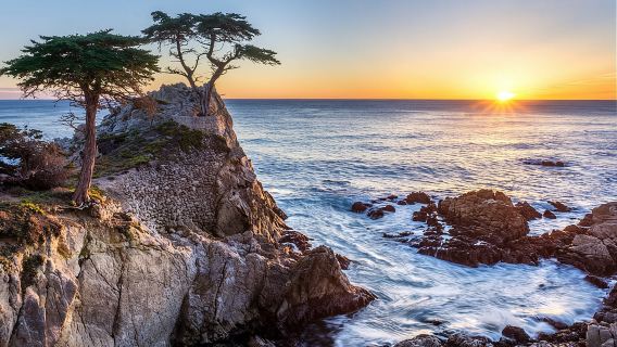 Monterey, Carmel and 17-Mile Drive: Full Day Tour from SF