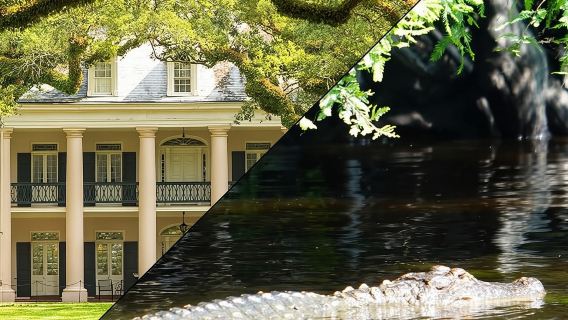 Oak Alley Plantation and Swamp Boat Tour from New Orleans