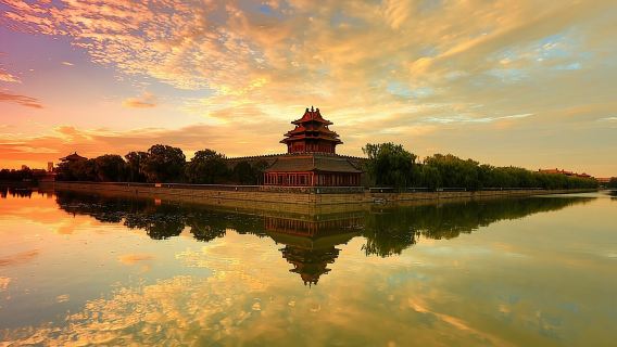 Half Day Forbidden City Private Tour (No shopping)