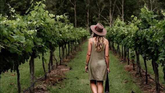 Barefoot Luxury Mount Tamborine Winery Tour from Brisbane