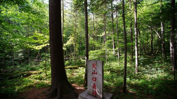 鏡泊湖景區+接駁車一日遊【限時折扣】