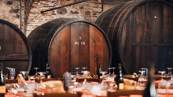 Wine experience with lunch or dinner in a farm vineyard