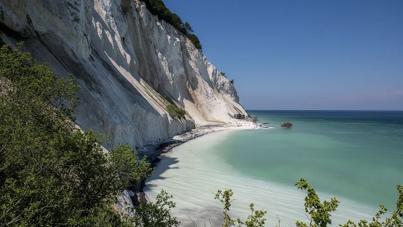 Full-day tour to Møns Klint and The Forest tower from Copenhagen