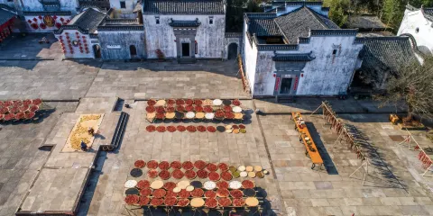 【包車遊】呈坎景區+宏村景區一日遊【上門接送】|專車服務