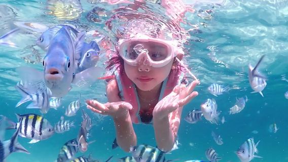 1-day tour to Samae San Island in Pattaya, Thailand [Photography|Snorkeling|Fishing and BBQ|Pick-up & drop-off at the hotel