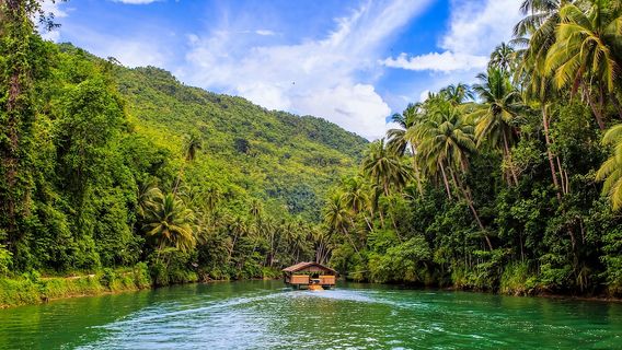 From Cebu: Bohol Island countryside 1-day tour | Chocolate Hills +