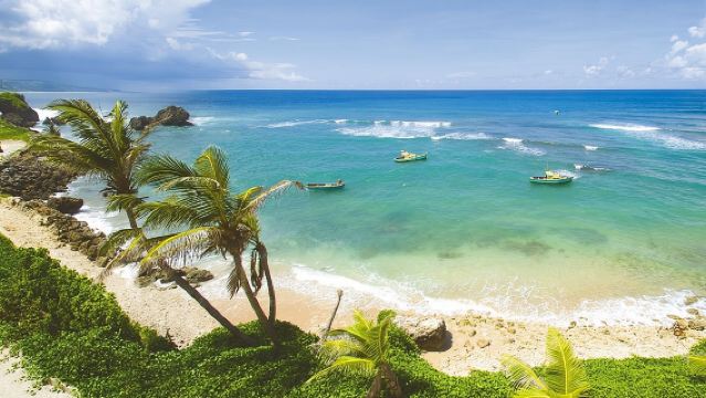 Barbados Island Tour with Lunch and Wildlife Sanctuary