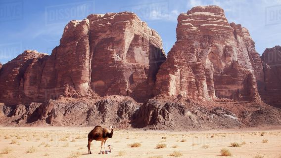 Excursion à la journée Wadi Rum