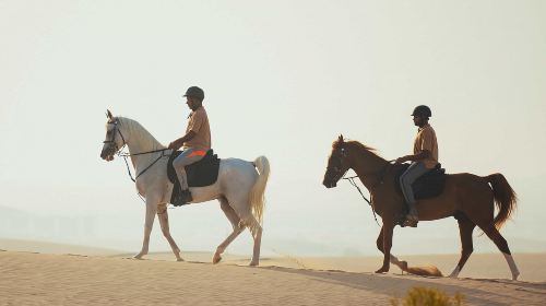 Abu Dhabi Horse Riding Experience 3