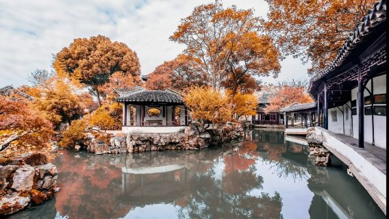 Antiguo pueblo de Tongli + Jardín del Administrador Humilde + Templo Hanshan + Bosque de los Leones [Servicio de coche privado con conductor en Shanghái 10H]