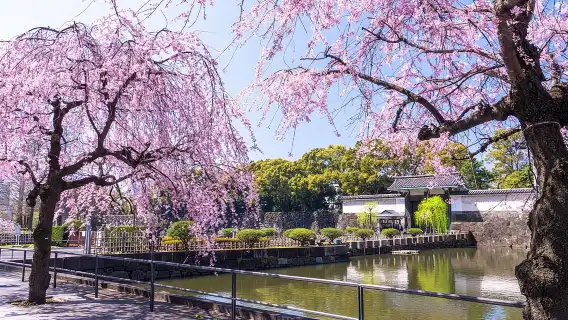 東京皇居東御苑私人導覽遊 探索日本皇室的歷史與自然之美
