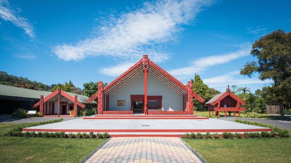 From Auckland: Rotorua Māori Village & Activity Combinations