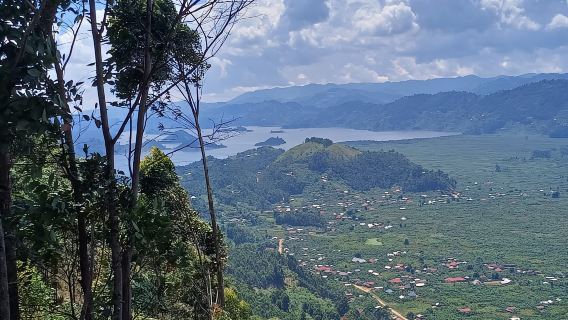 Kisoro: Hiking and Coffee Tour