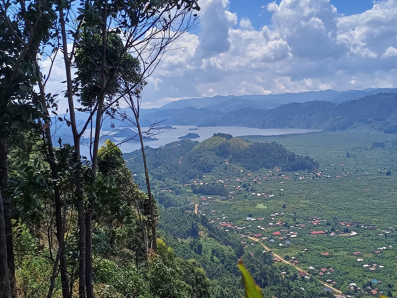 คิโซโร: ทัวร์เดินป่าและชิมกาแฟ