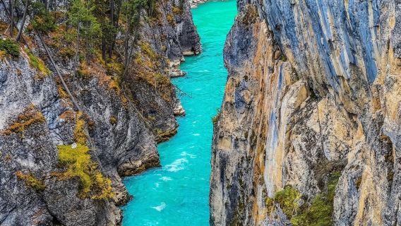 Lake Louise, Emerald Lake, Minnewanka Cruise & Banff Town