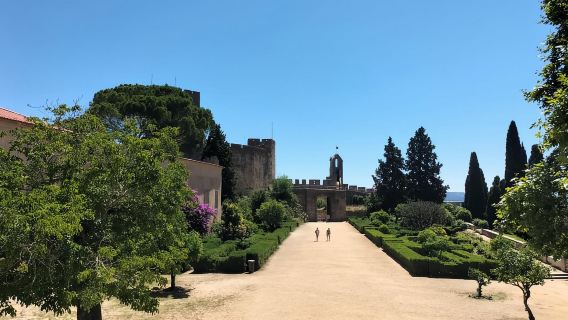 Tomar (Convent of Christ UNESCO): Half-Day Tour from Lisbon