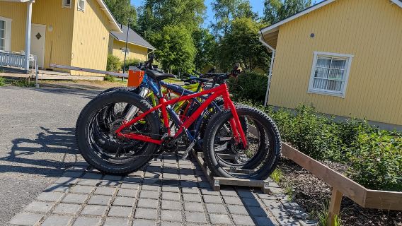 Oulu: 1-Hour Fatbike Tour from Nallikari to Hietasaari