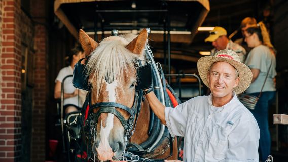 Charleston: Historical Downtown Tour by Horse-drawn Carriage