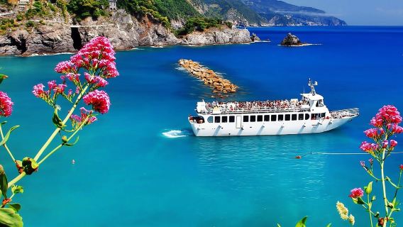 Tur Pribadi 8 jam dari Pelabuhan Pesiar Livorno ke Cinque Terre