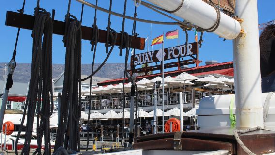 Cape Town: Tour du thuyền Table Bay kéo dài 1 giờ