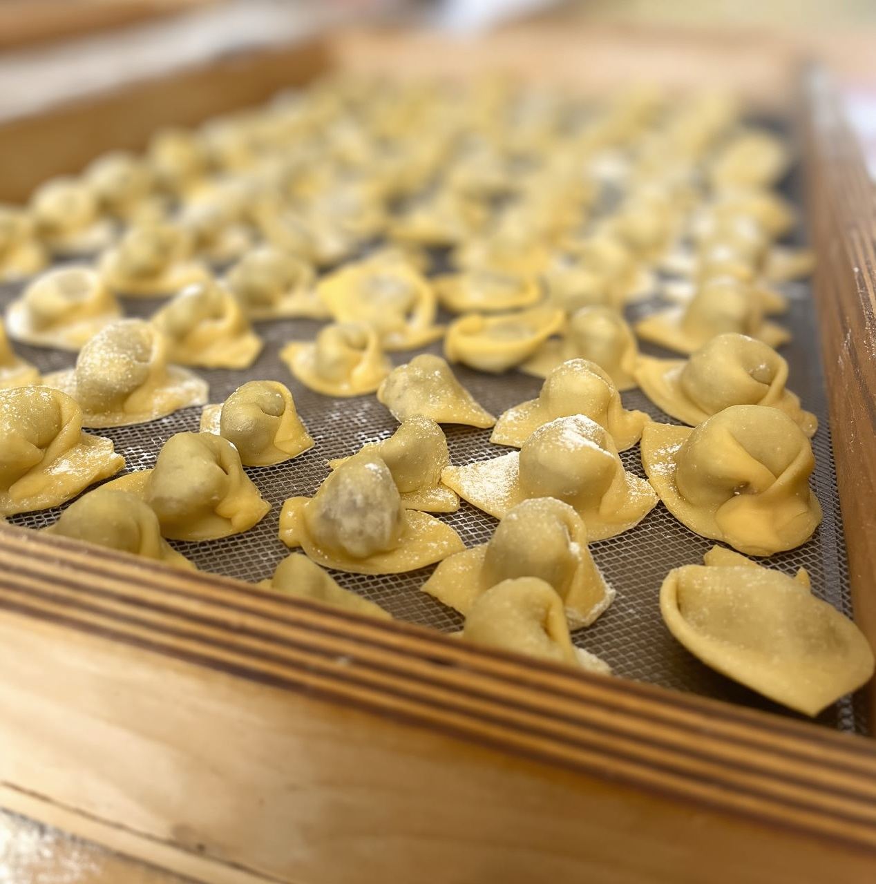 Kochkurs: Hausgemachte italienische Lasagne mit Einheimischen