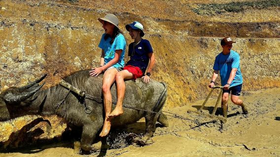 Sân bay Hà Nội: Di chuyển đến hoặc đi từ Sapa bằng xe buýt giường nằm VIP