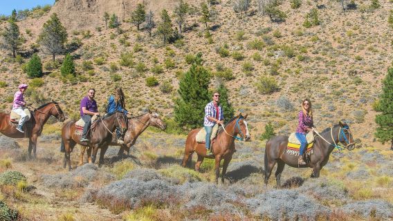 Bariloche: Cabalgatas guiadas en la estepa patagónica